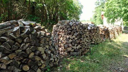 Firewood stacked in a pile in a natural summer forest. Woodpile of chopped fire wood prepared for a...