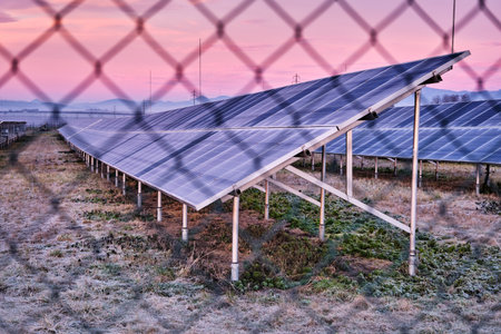 Solar power plant park with panels beyond chain link fence. Subsidized renewable energy source on...