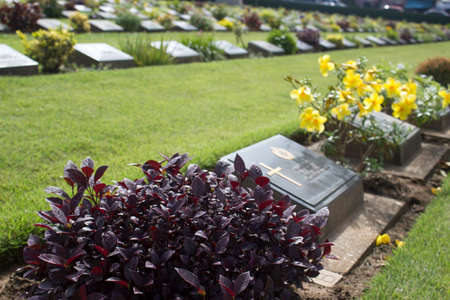 gravestones with plant and flowers in the graveyard