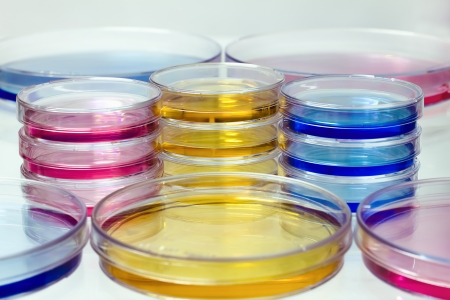 petri dishes set of colorsの写真素材