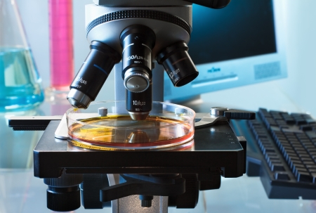laboratory bench with a microscope examining a petri dish, a computer and glassware in the...