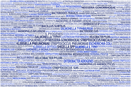 List of Word Tag about species bacteria on White Background  Cloud of names of bacteria speciesの写真素材
