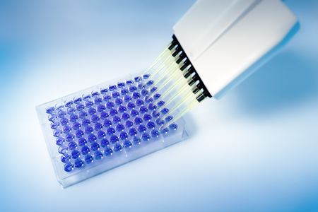 Multi pipette and microplate for analysis in the laboratory. Multichannel pipette and microplate with 96 wells in the labの写真素材