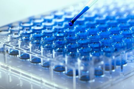 Scientist holding a 96 well plate with samples for biological analysis / Researcher pipetting...