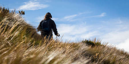 Person walking in the fieldの写真素材