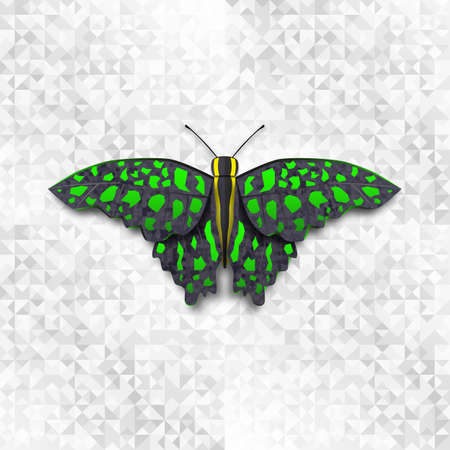 Vector illustration green butterfly on light background.のイラスト素材