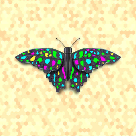 Vector illustration colored butterfly on yellow background.のイラスト素材