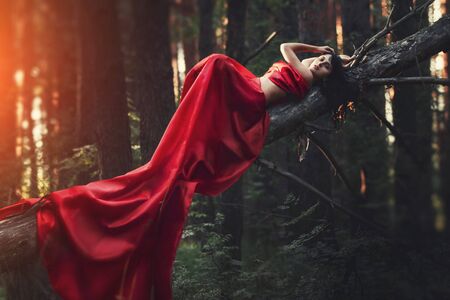 Woman in a long red dress alone in the forest. Fabulous and mysterious image of a girl in a dark forest in the evening sun. Sunset in the forest, the Princess got lostの写真素材