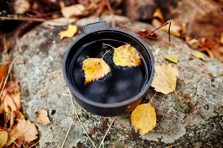 Mug of hot tea is autumn in a forest in Golden yellow foliage. Autumn came, magical mood. Yellow leaves floating in the teaの写真素材