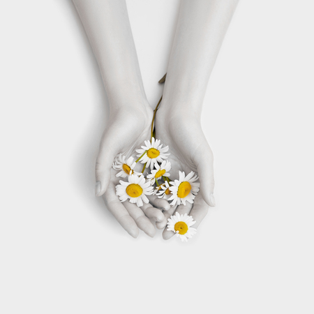 Fashion hand art chamomile natural cosmetics women, white beautiful chamomile flowers hand with bright contrast makeup, hand care. Creative beauty photo girl sitting at table, contrasting backgroundの写真素材