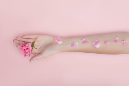 Hand with pink flowers and petals lying on a paper background. Cosmetics for hand skin care. Natural petal cosmetics, essential oils, anti-wrinkle and anti-aging hand careの写真素材