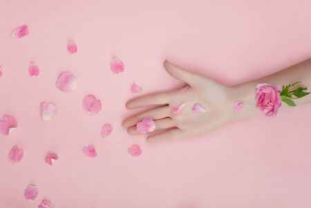 Hand with pink flowers and petals lying on a paper background. Cosmetics for hand skin care. Natural petal cosmetics, essential oils, anti-wrinkle and anti-aging hand careの写真素材