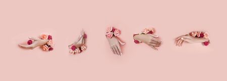 Set hands with artificial flowers sticking out of hole pink paper background. Hand in various poses, the pattern layout for your collage. Cosmetics hand skin care, moisturizing and wrinkle reductionの写真素材
