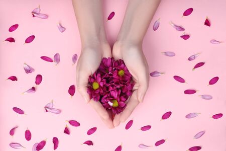 Natural cosmetics for the skin of the hands, moisturizing and nutrition. Flower extract, a woman holding red petals and flowers in her handsの写真素材