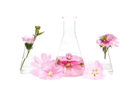 Beauty product in a bottle natural cosmetics, herbal organic extract from flower petals. Scientific experiment. Hand cosmetics made of pink flowersの写真素材