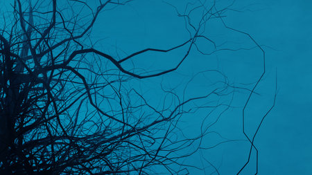 Scary trees at night near forest road. Mystical eerie forest landscape in fog, moonlight. 3d...