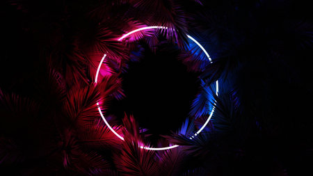 Neon glowing circle ring in palm leaves, tropical dark background. Blue purple yellow green color. Glowing linear volumetric neon round circle. 3d renderingの写真素材