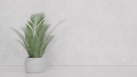 Ornamental plant in vase on light background against wall, interior design, place for text, mockup for design. 3d renderingの写真素材