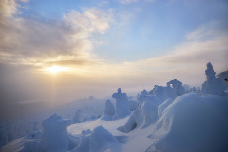Snowy cold winter in the mountains landscape, trees in the snow in the morning, cold north wind. Ice fir trees, Christmasの写真素材