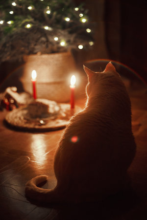 Beautiful retro holiday decor, birthday party. Burning candles and lights in the dark, Christmasの写真素材