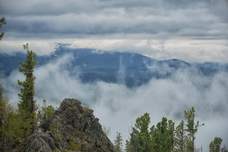 Misty mountains shrouded by clouds, with treetops emerging, evoke a serene, mystical atmosphere