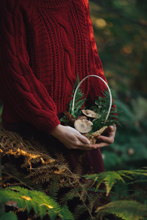 A person wearing a cozy red sweater stands amid vibrant ferns, cradling a beautifully arranged basket filled with mushrooms and fresh greenery during the fall season.の写真素材