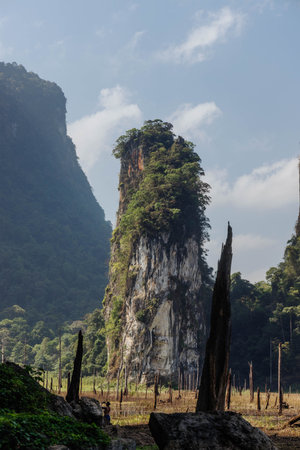 A striking limestone tower rises from the landscape, adorned with greenery. The vibrant foliage...