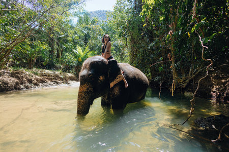 woman rides an elephant through a calm river, surrounded by vibrant greenery and tropical trees. tranquil environment showcases the beauty of nature and wildlife interactions.の写真素材