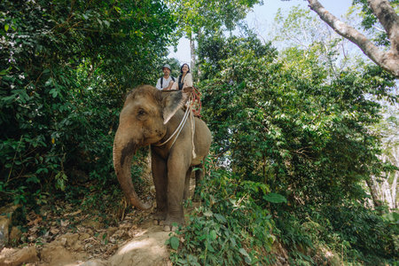 Two people ride an elephant through a lush jungle, accompanied by a local guide. bright sunlight filters through the dense foliage, highlighting the adventure in nature.の写真素材