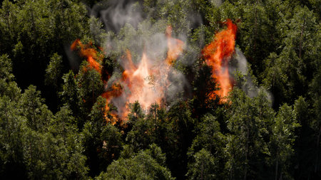 Bright flames engulf trees in a dense forest as smoke billows into the air. scene captures the...