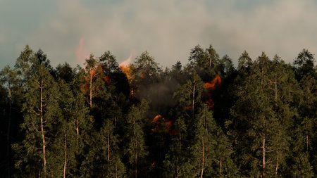 Bright flames consume a section of a lush forest, sending plumes of dark smoke into the sky. scene captures the intensity of the wildfire and its impact on the environment. 3d renderの写真素材