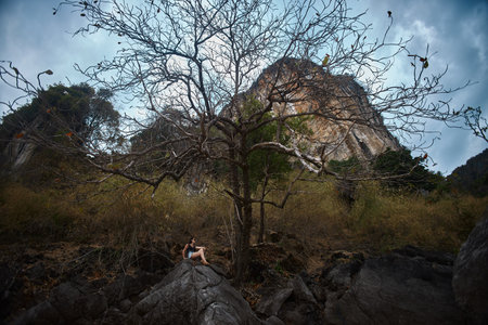 person sits on a large rock, gazing at a vast, rocky mountain. Leafless trees surround the scene, with dusk approaching, creating a tranquil atmosphere in natures embrace.の写真素材