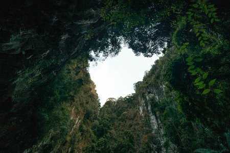 Towering rock walls envelop a heart-shaped opening revealing a clear sky above. Lush greenery...