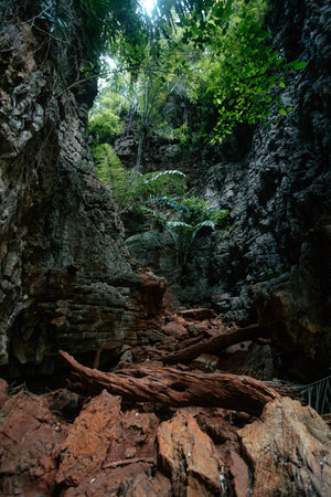 A rocky canyon features towering stone walls adorned with vibrant greenery and scattered fallen...