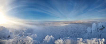 Snow-covered trees stretch across the horizon, bathed in the soft light of dawn. sky displays wispy...