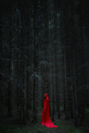 figure draped in a vivid red cloak stands still among tall, shadowy trees in a dense forest at twilight. the atmosphere is eerie and enchanting, invoking a sense of wonder and curiosity.の写真素材