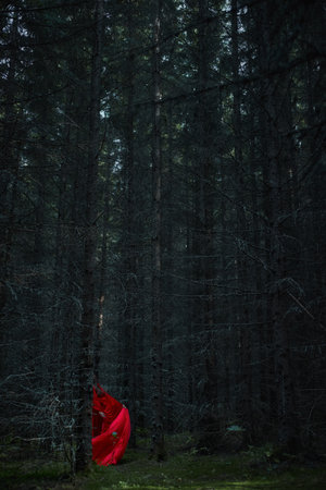 striking scene unfolds in a dark forest, where a bright red fabric flows among tall trees, enhancing the mysterious atmosphere of the surroundings.の写真素材