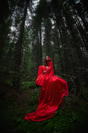woman dressed in a flowing red cloak sits gracefully on a rock in a secluded forest. Tall trees surround her as mist drifts through the dense greenery at dusk.の写真素材