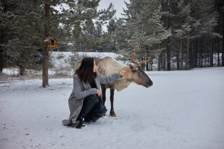 woman kneels down to pet a reindeer in a forest covered in snow. trees surround them, creating a winter scene with a calm atmosphere.の写真素材