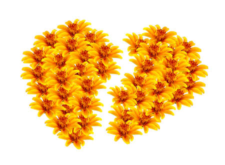 Beautiful yellow flowers heart-shaped apartの写真素材