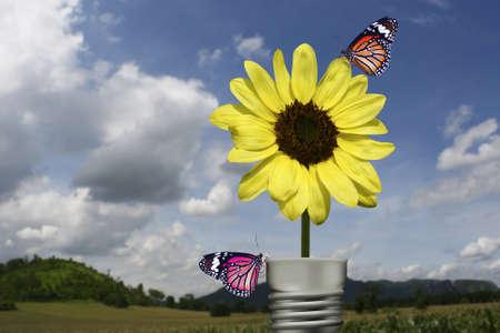 Butterfly on yellow flower Lamp landscapes backgroundの写真素材