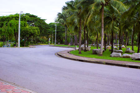 Road in gardenの写真素材