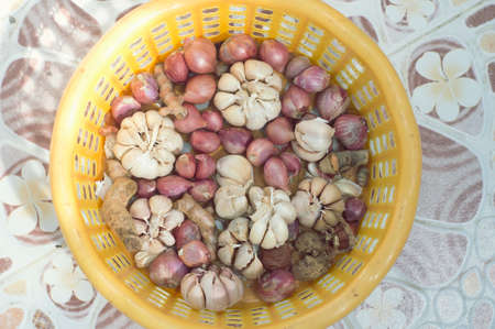 Garlic, onionsの写真素材