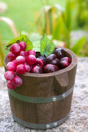 grape and oak barrels の写真素材