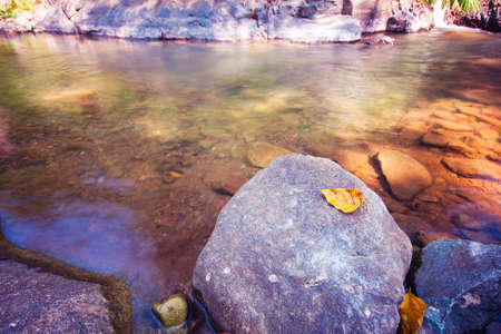 Leaves on the Rocksの写真素材