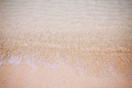 summer beach sea view with wave