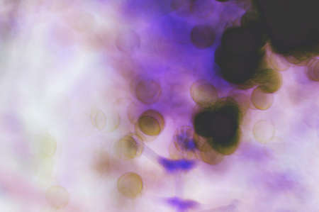 Abstract background with bokeh for science, blurry Styleの写真素材