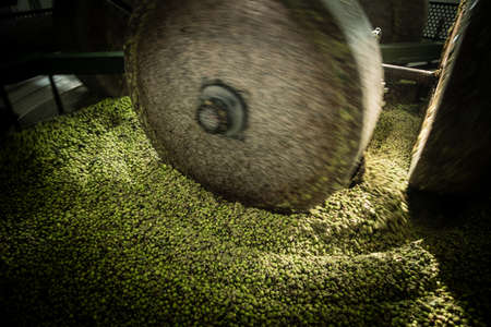 Ancient olives millstone in Apulia, south Italyの写真素材