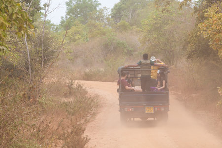 Minneriya, Sri Lanka. July 21, 2016: Minneriya National Park. A jeep carrying tourists visiting the famous national park of Sri Lanka. A car goes into the park in search of wild animals.のeditorial素材