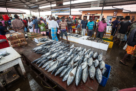 Negombo, Sri Lanka. July 20, 2016: Sellers and buyers in the famous fish market in Negombo in Sri Lanka near Colombo.のeditorial素材